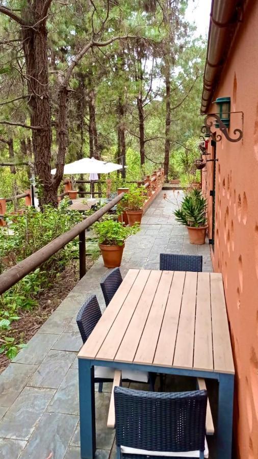 Casa Rural En Medio Del Bosque, El Lance Firgas Bagian luar foto