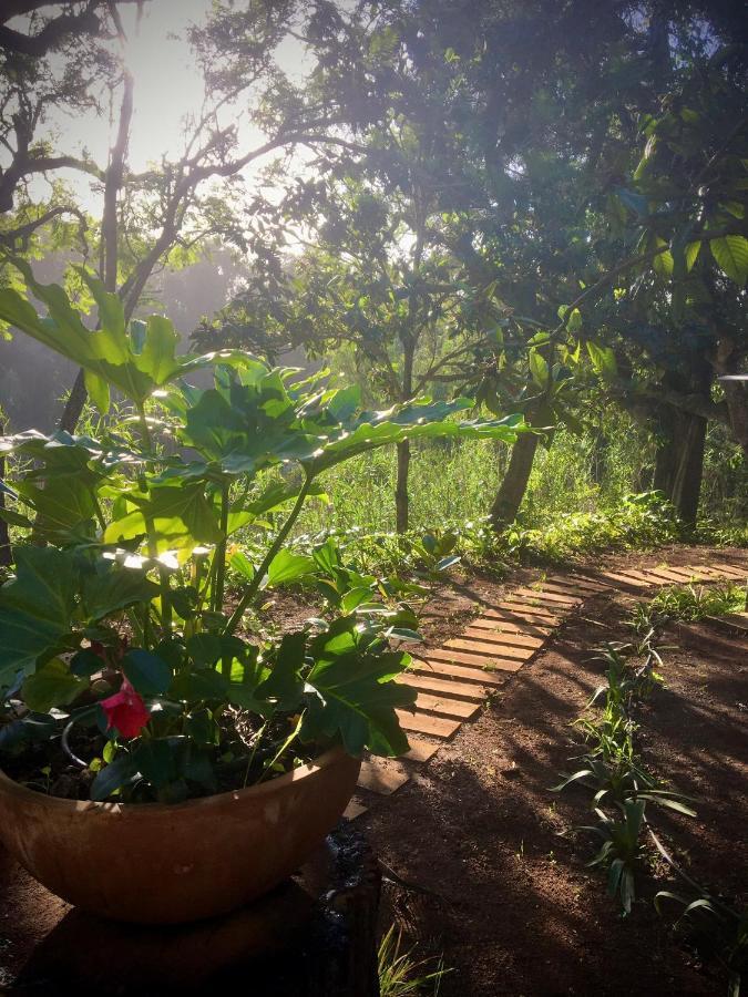 Casa Rural En Medio Del Bosque, El Lance Firgas Bagian luar foto