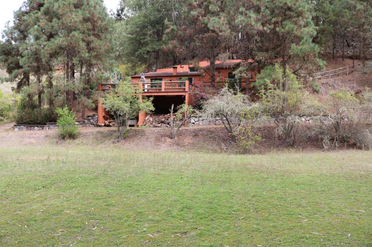 Casa Rural En Medio Del Bosque, El Lance Firgas Bagian luar foto