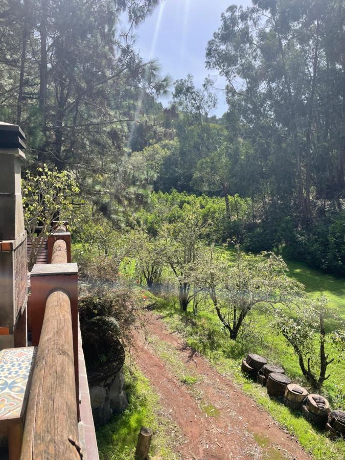 Casa Rural En Medio Del Bosque, El Lance Firgas Bagian luar foto