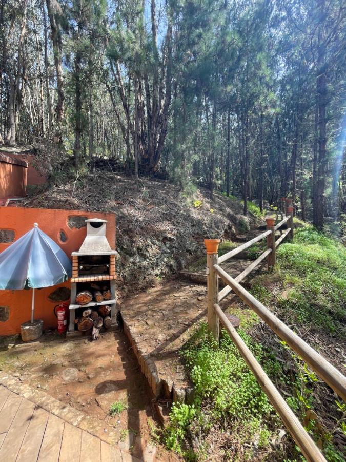 Casa Rural En Medio Del Bosque, El Lance Firgas Bagian luar foto