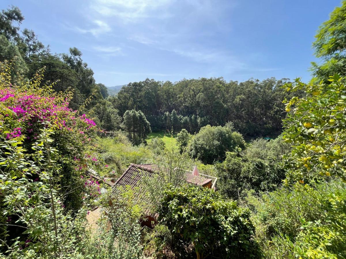 Casa Rural En Medio Del Bosque, El Lance Firgas Bagian luar foto