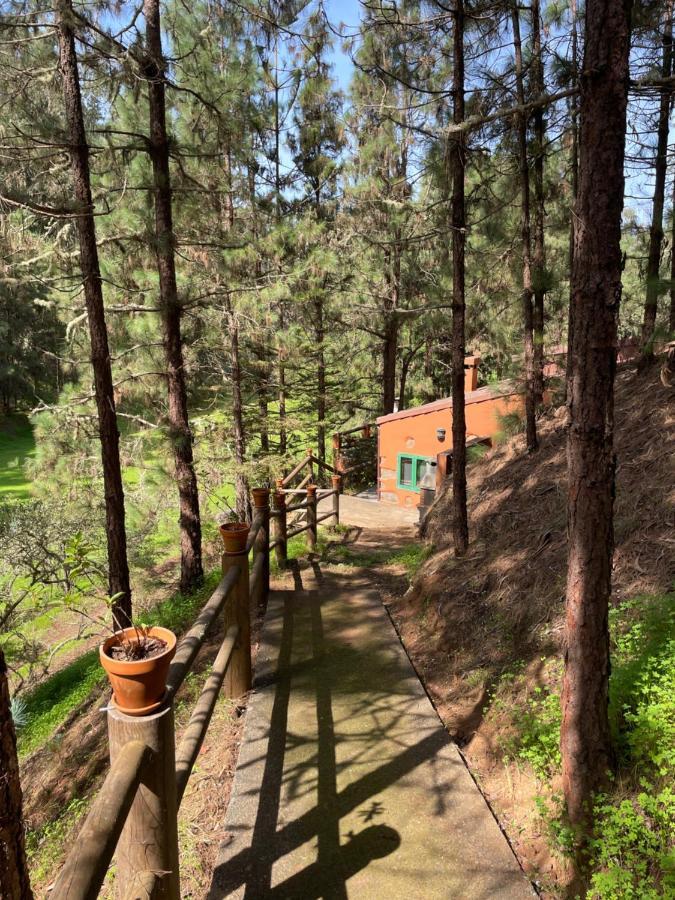 Casa Rural En Medio Del Bosque, El Lance Firgas Bagian luar foto
