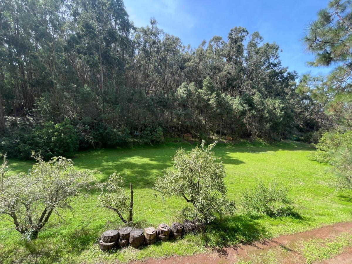 Casa Rural En Medio Del Bosque, El Lance Firgas Bagian luar foto
