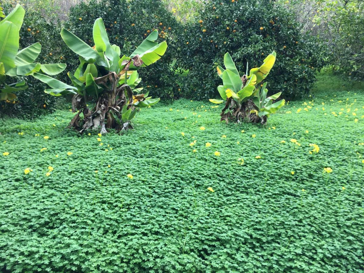 Casa Rural En Medio Del Bosque, El Lance Firgas Bagian luar foto