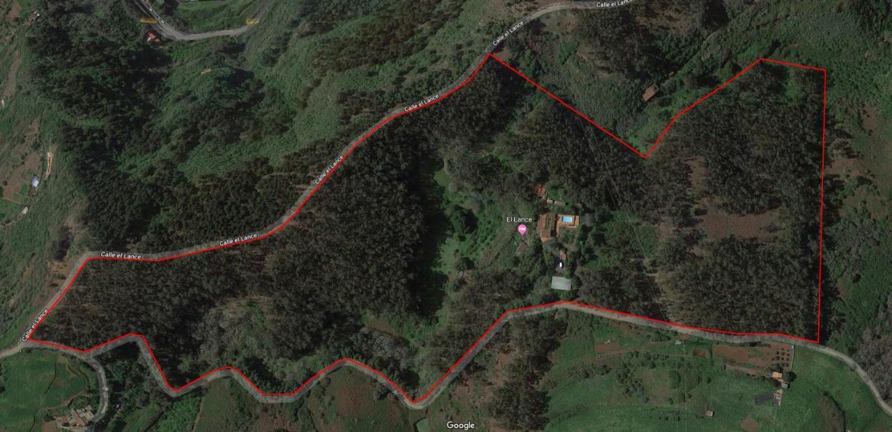 Casa Rural En Medio Del Bosque, El Lance Firgas Bagian luar foto