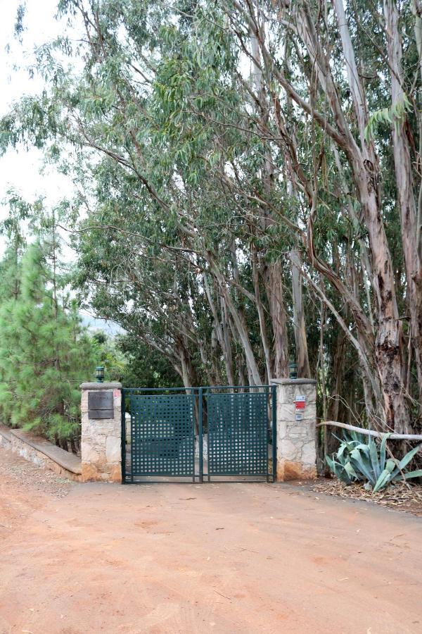 Casa Rural En Medio Del Bosque, El Lance Firgas Bagian luar foto